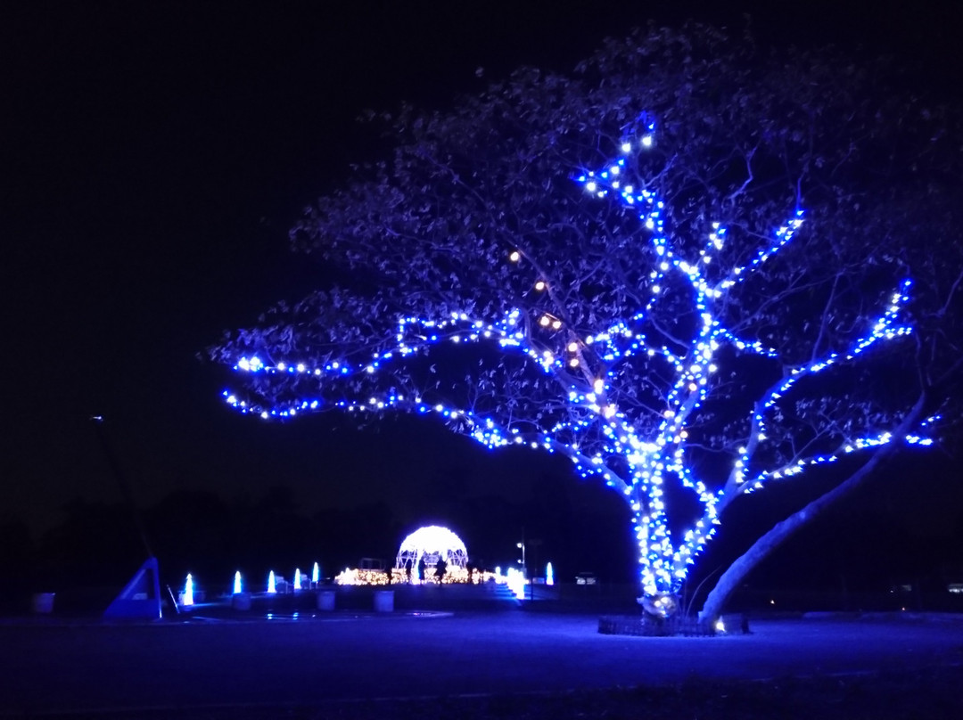 Marie Gold Nooka Park-本庄市必去景点