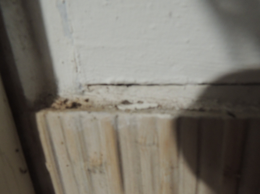 Côte Cannelle主图