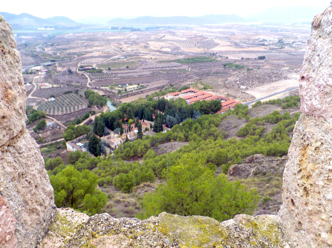 Castillo de Jumilla景点图片