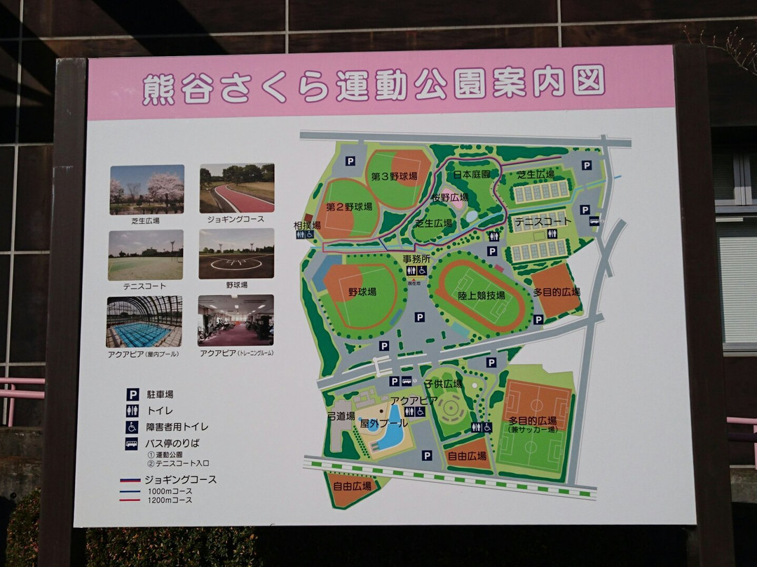 Kumagaya Sakura Sports Park-熊谷市必去景点