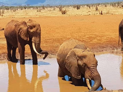 Elephant Rouge Safaris-瓦塔木必去景点