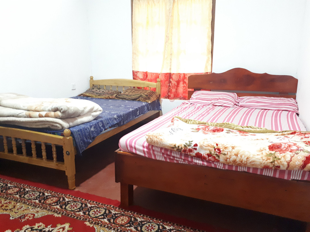 Sushi Guesthouse主图