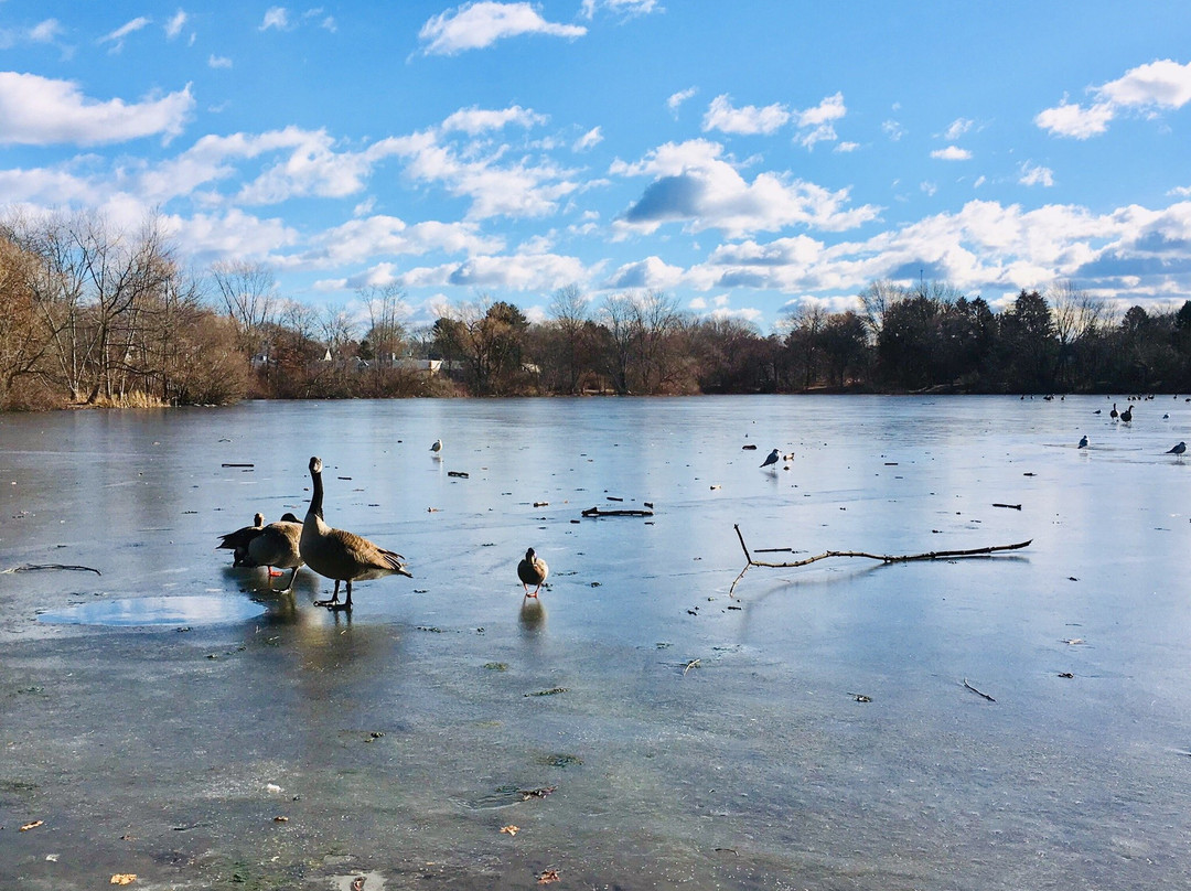 Turner Pond-Milton必去景点