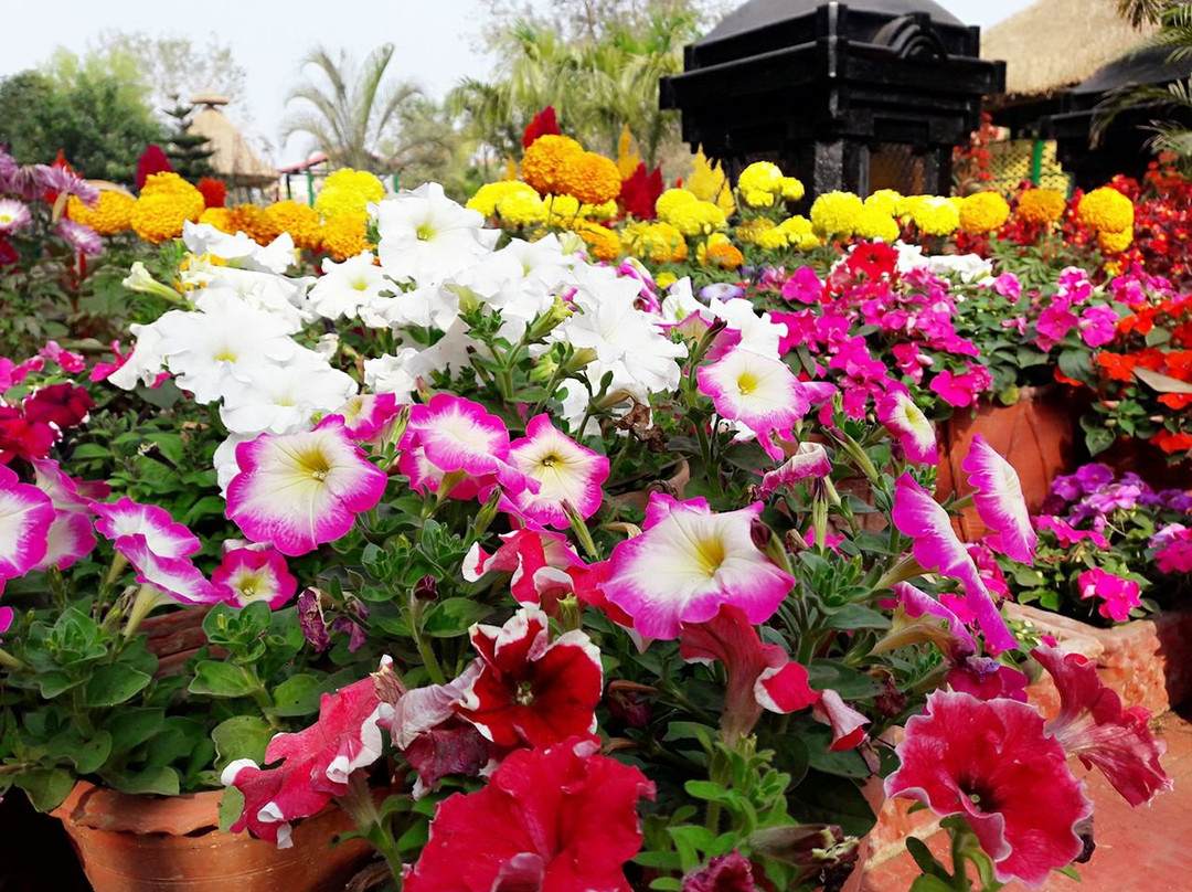 FarmVille Boutique Resort主图