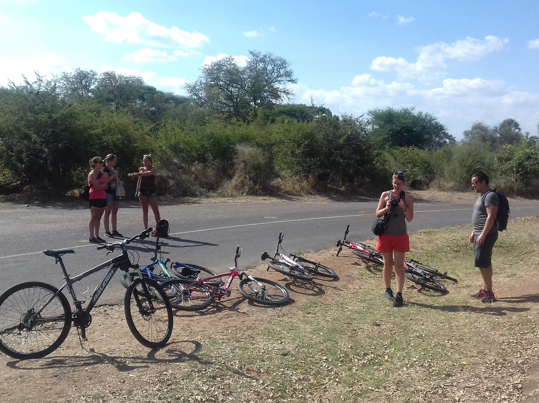 null-Lower Zambezi National Park