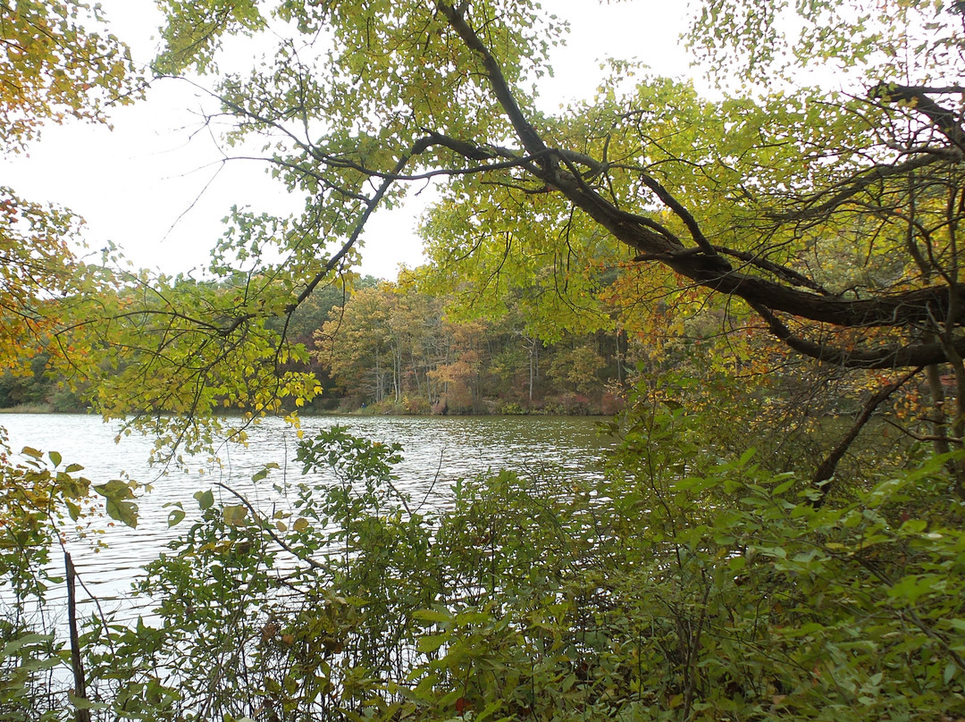 Cheesequake State Park景点图片