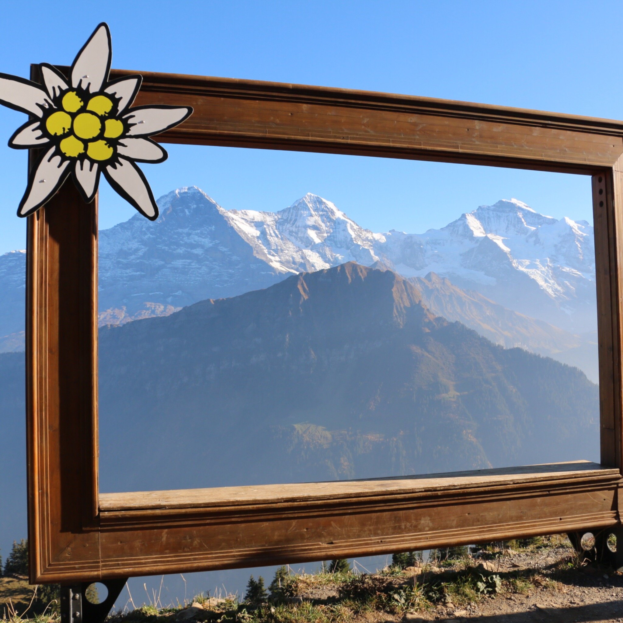 Berghotel Schynige Platte-官方