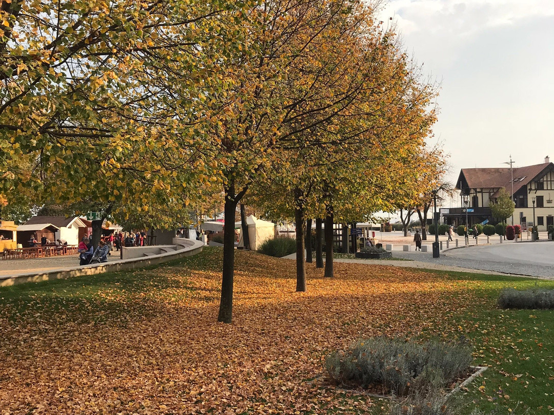 Balatonfured City Market景点图片