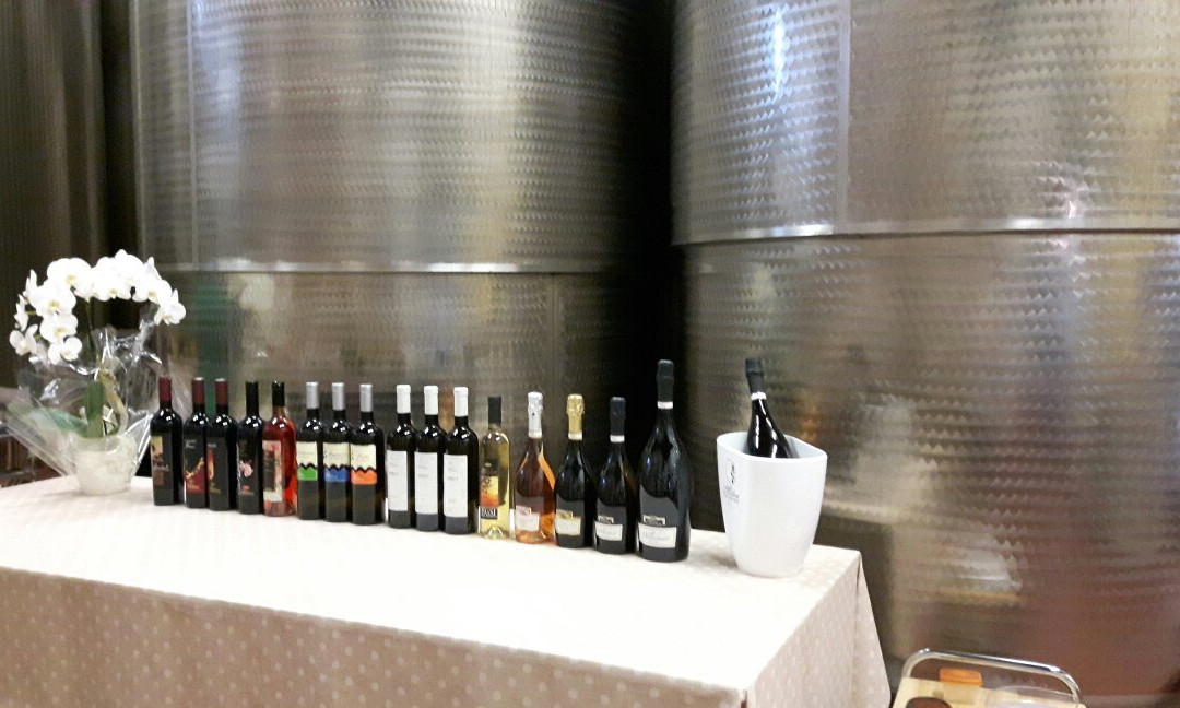 Azienda Agricola Luigino Molon景点图片