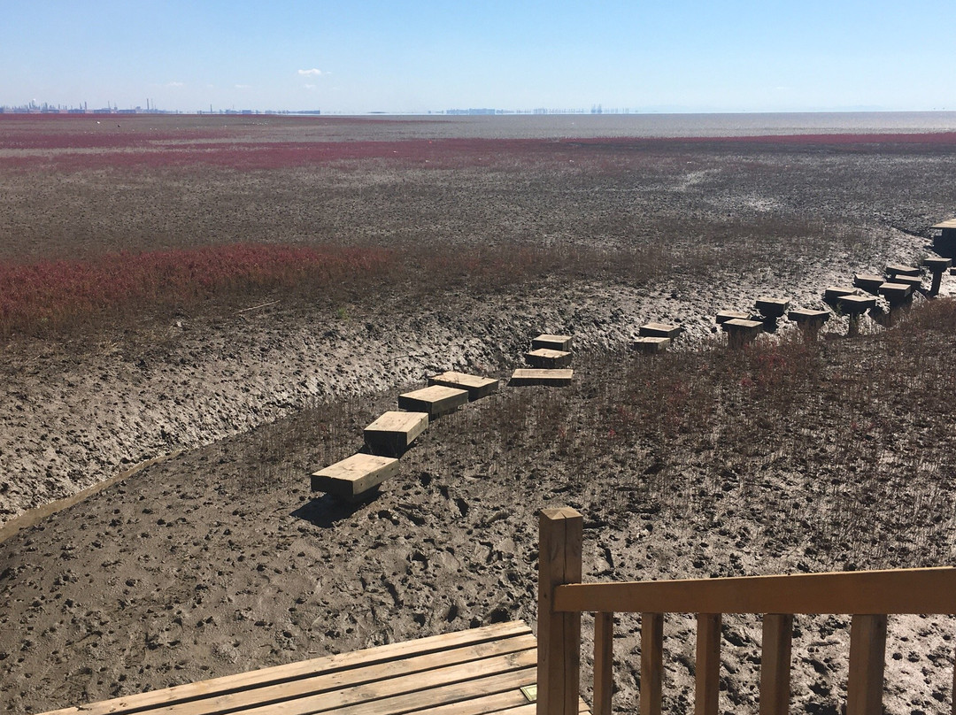 盘锦湖滨公园-盘锦市必去景点