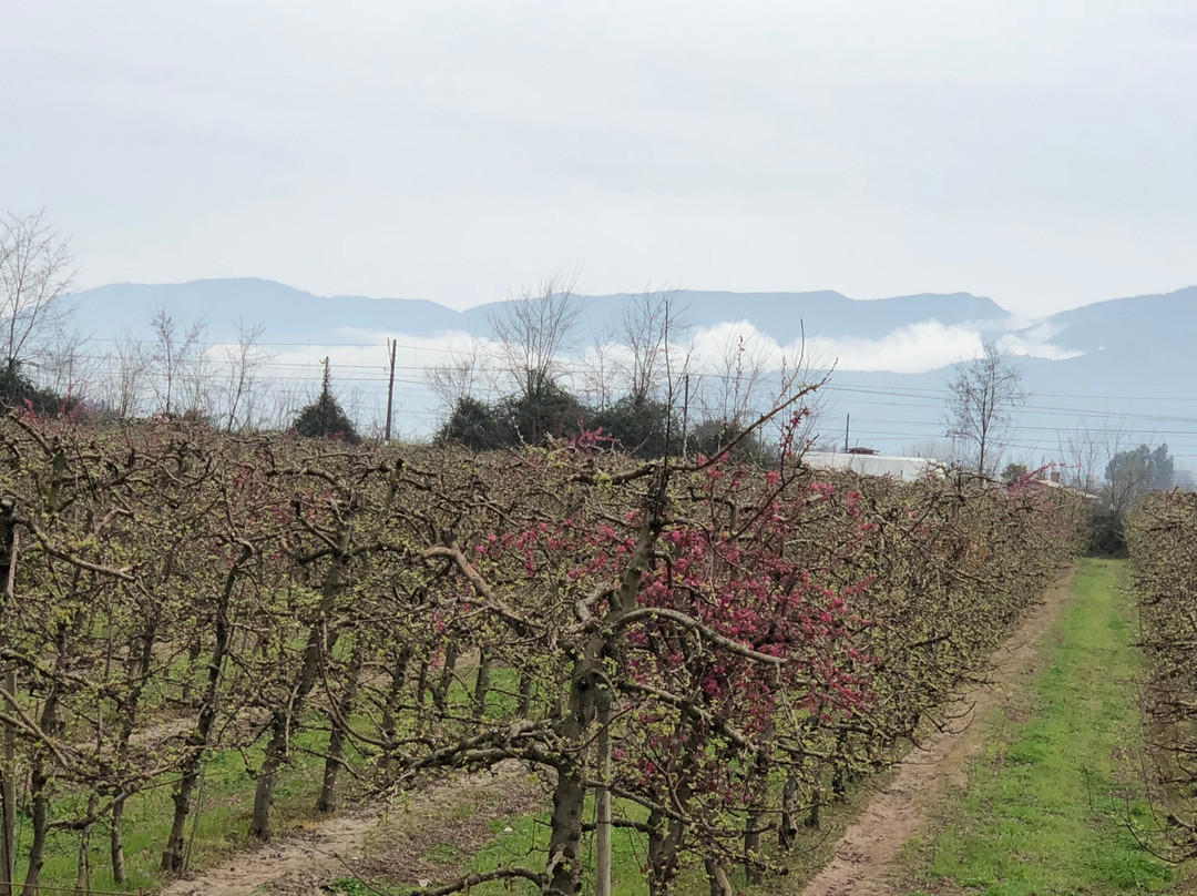 Santa Filomena de Cunaco主图