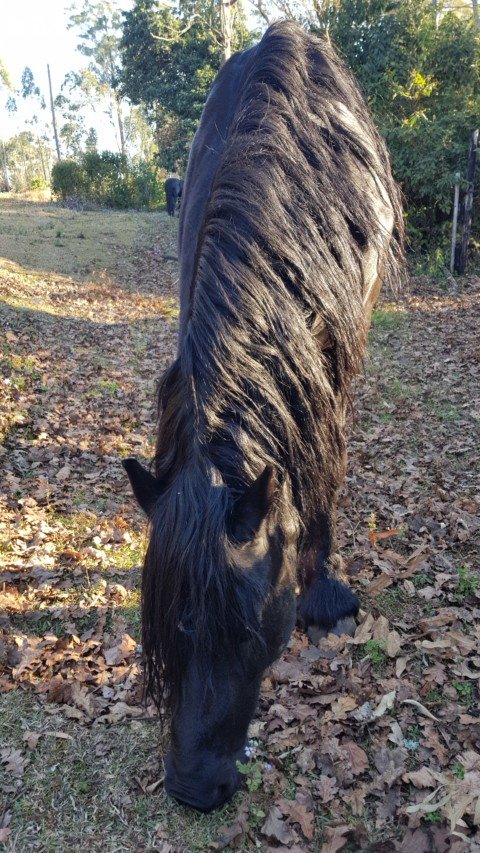 The Knoll Historic Guest Farm-浴室