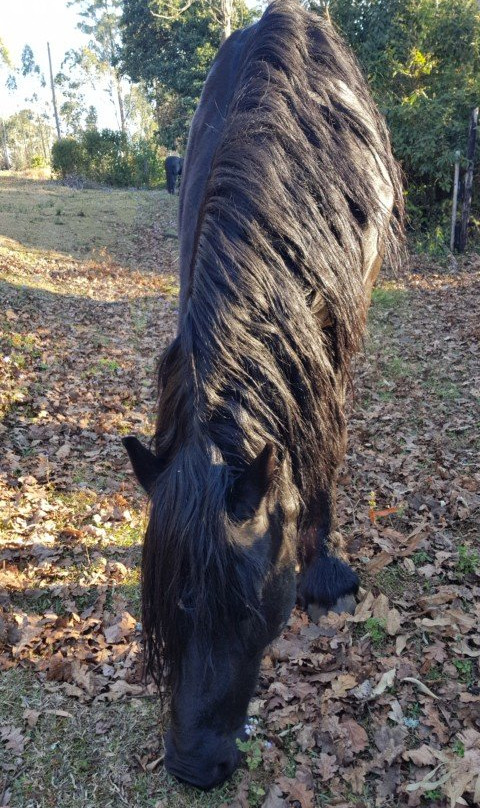 The Knoll Historic Guest Farm主图