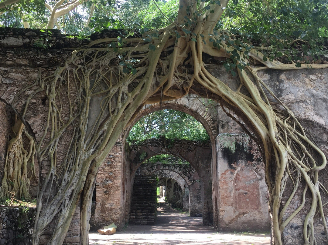Ex Hacienda de Ixtoluca景点图片