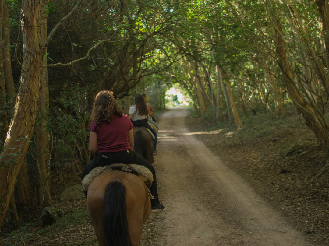 Cabalgatas Punta del Diablo-Punta del Diablo必去景点