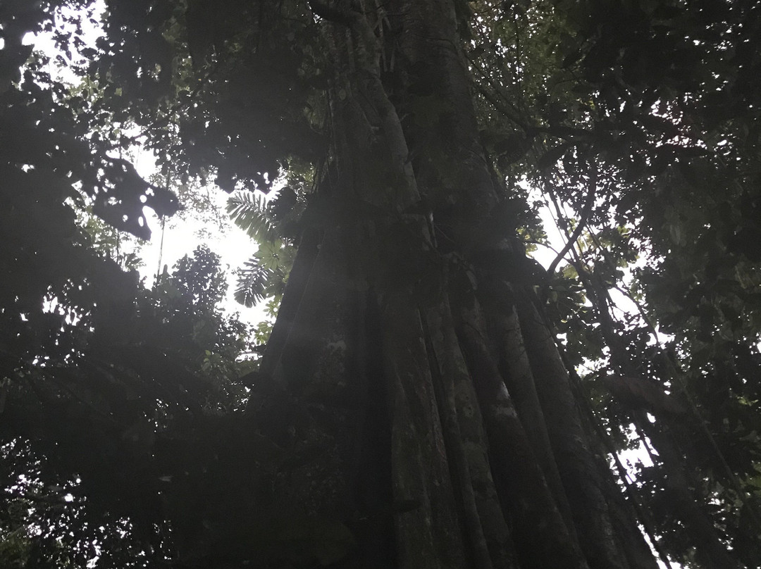 Parque Ecológico y Recreativo Lago Agrio Perla-Nueva Loja必去景点