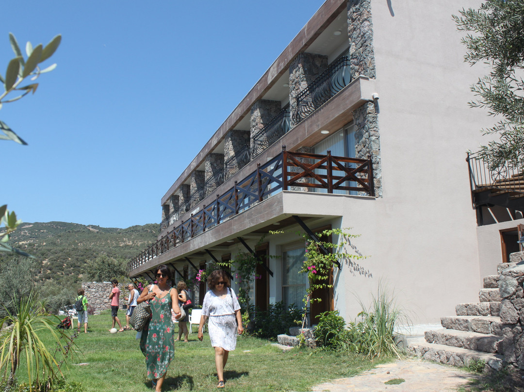 Assos Longevity Hotel主图