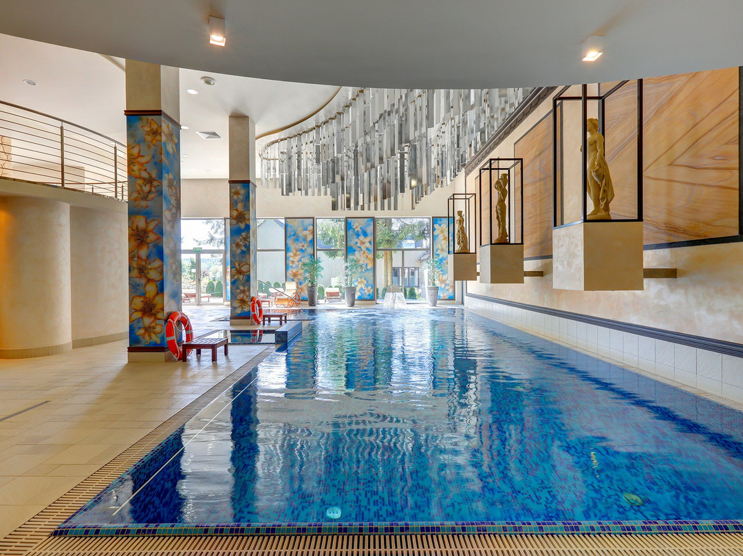 Hotel Afrodyta Business & Spa主图