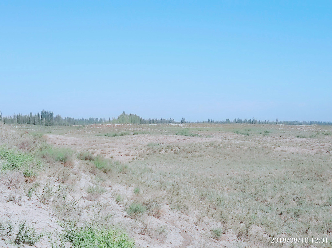 博格达沁故城景点图片