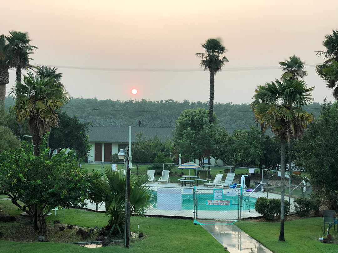 99 Palms Inn & Suites主图