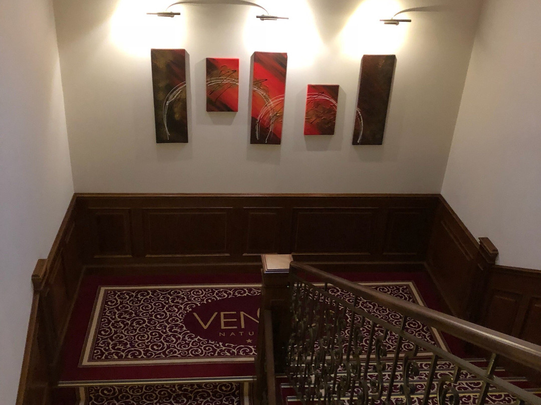 Hotel Ventus Natural Spa主图