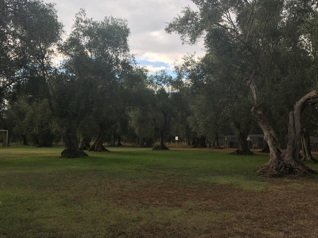 Fattoria del Marruchetone-格罗塞托必去景点
