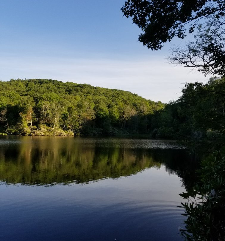 Trout Lake景点图片