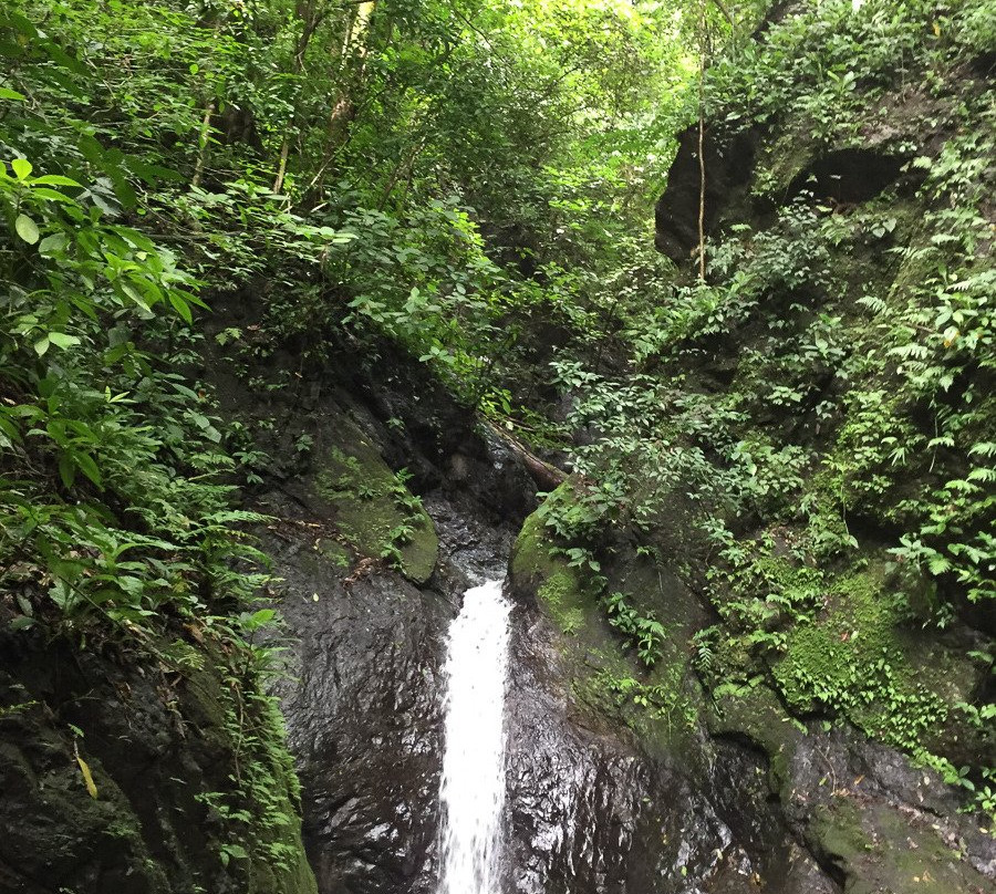 Costa Rica Holiday Rentals Tours景点图片