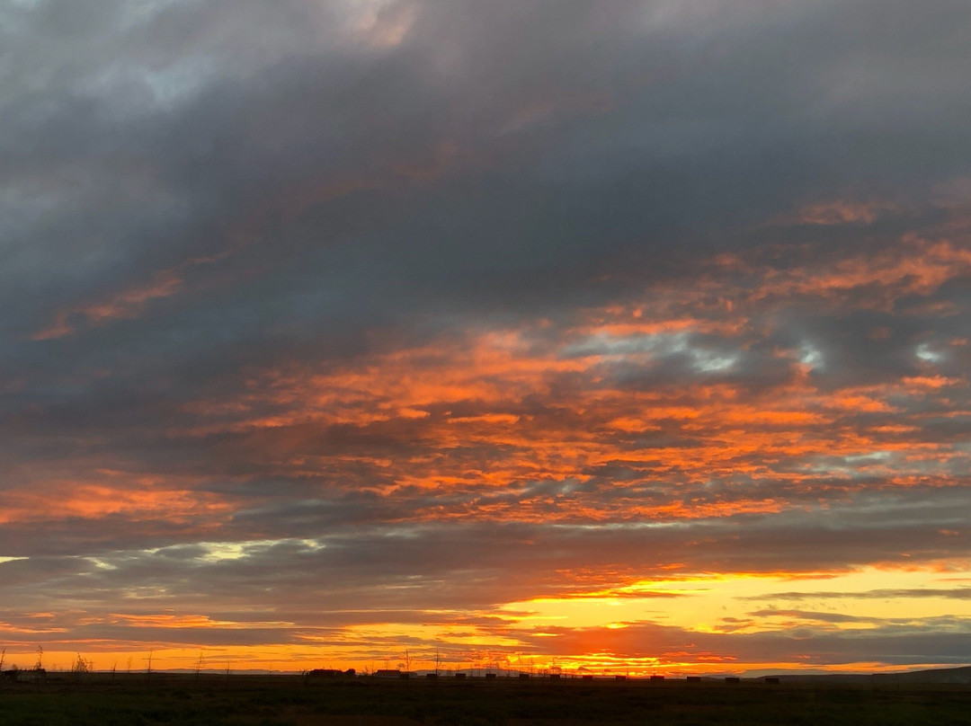 霍尔斯沃德吕尔镇酒店住宿-Hotel Selja