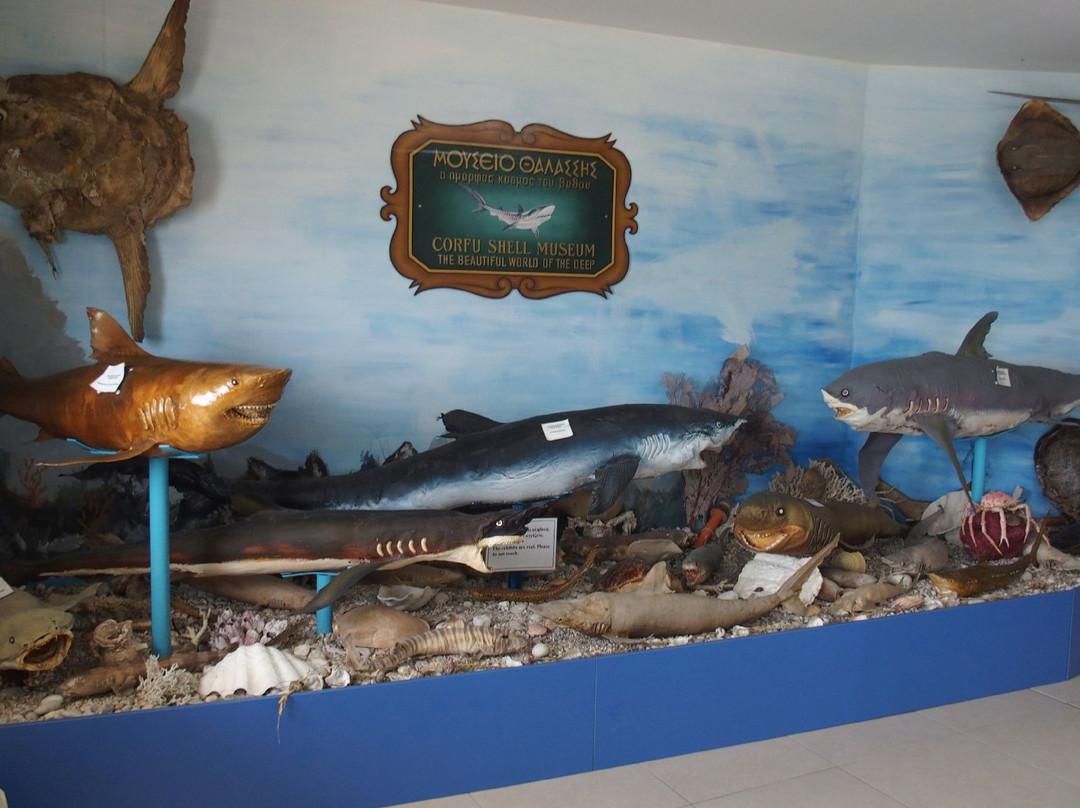Corfu Shell Museum-科孚必去景点