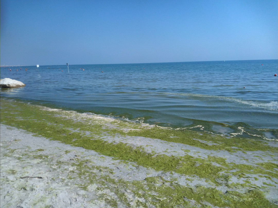 Spiaggia Di Levante-切塞纳蒂科必去景点
