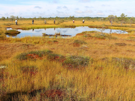 Private Tours Lithuania-维尔纽斯必去景点