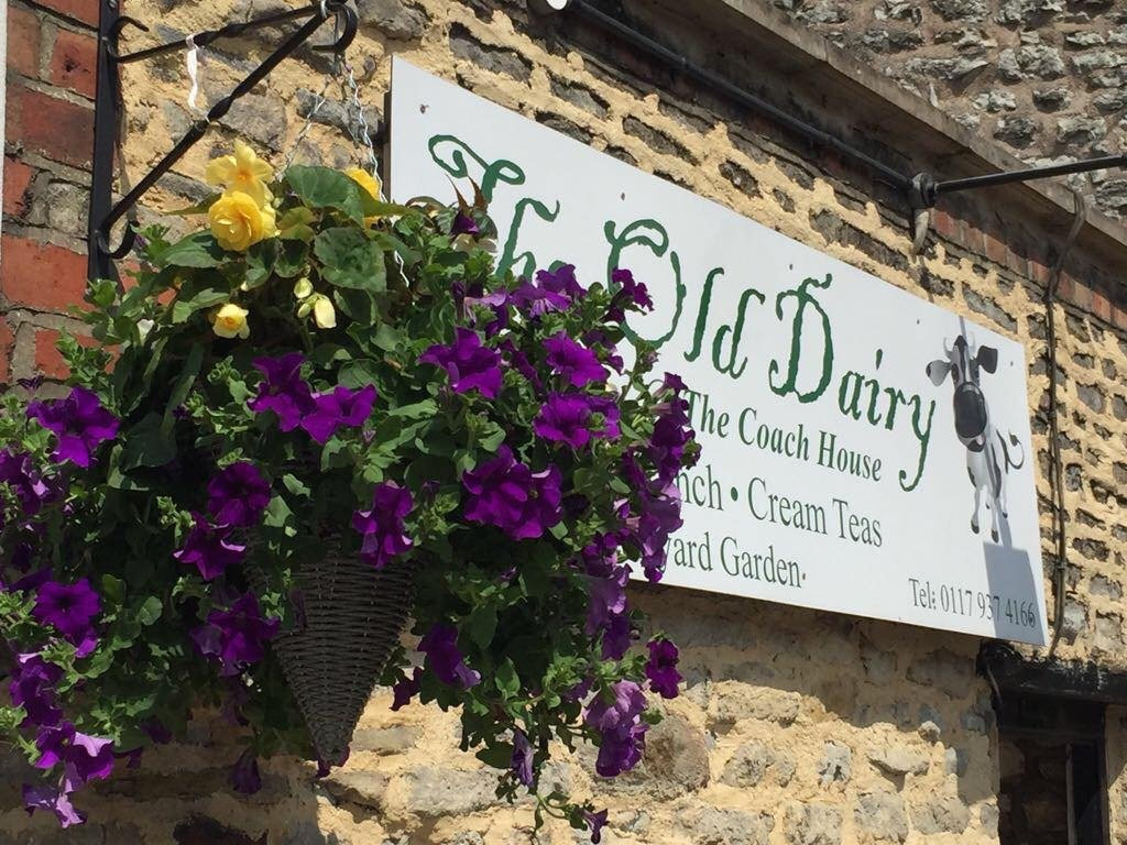 Pucklechurch餐馆和美食-The Old Dairy