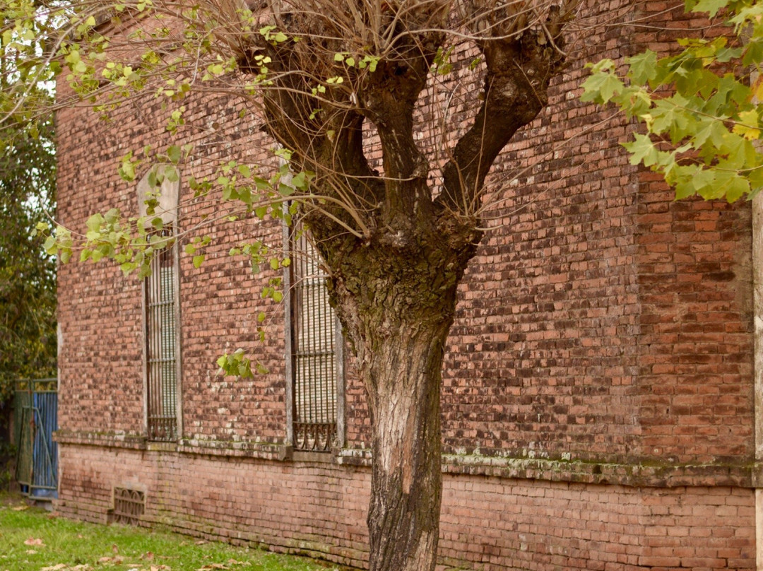 Villa Lia旅游攻略图片