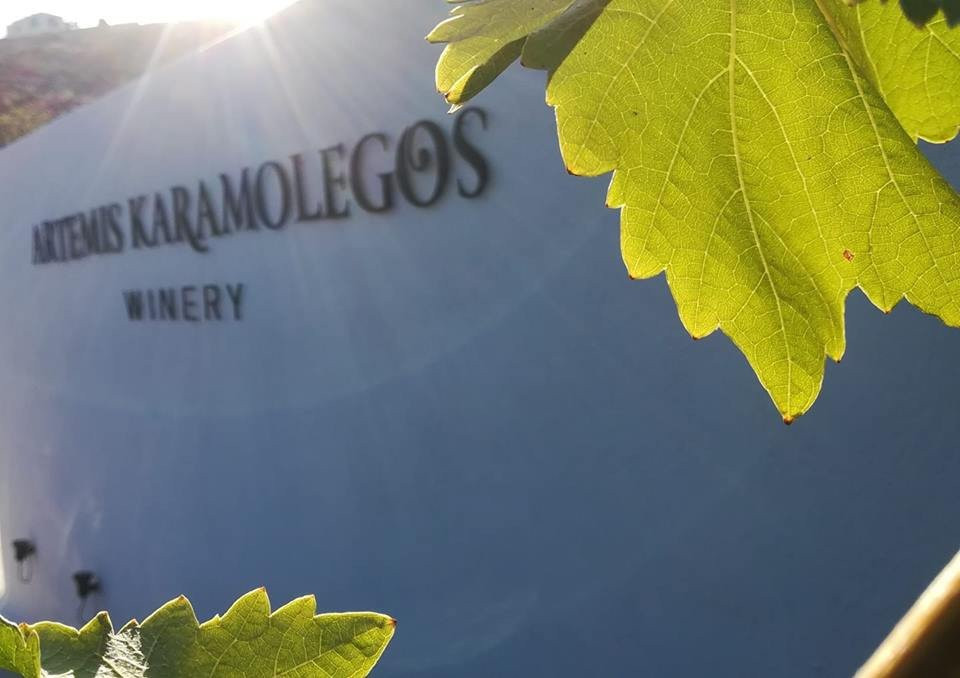 Artemis Karamolegos Winery景点图片