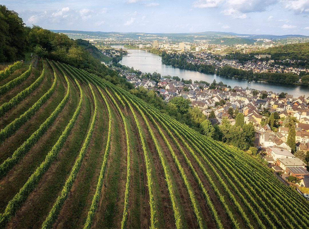 Weingut Spurzem景点图片