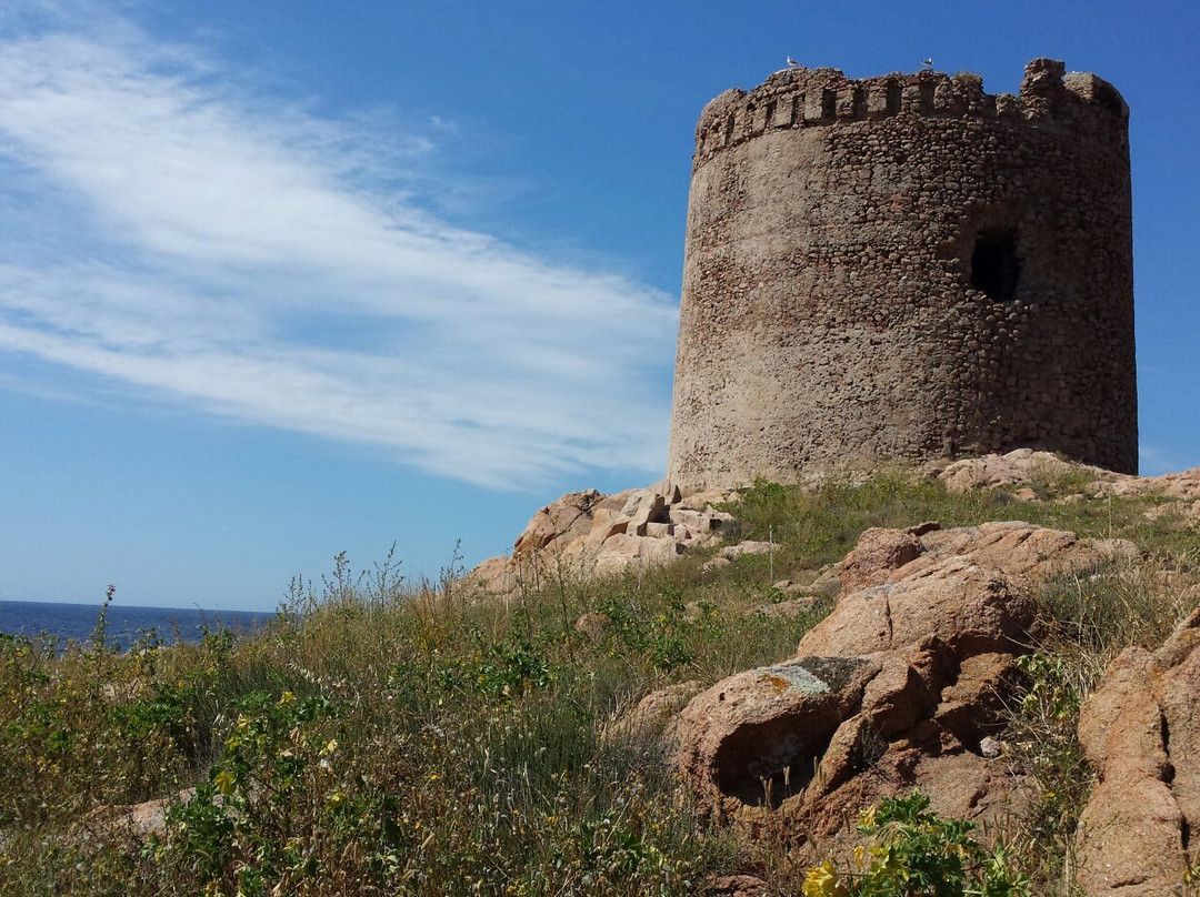 Torre Aragonese景点图片
