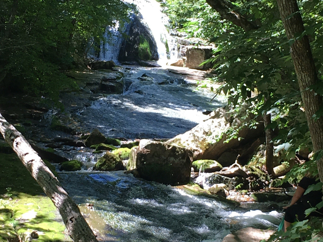 Roaring Run Falls景点图片