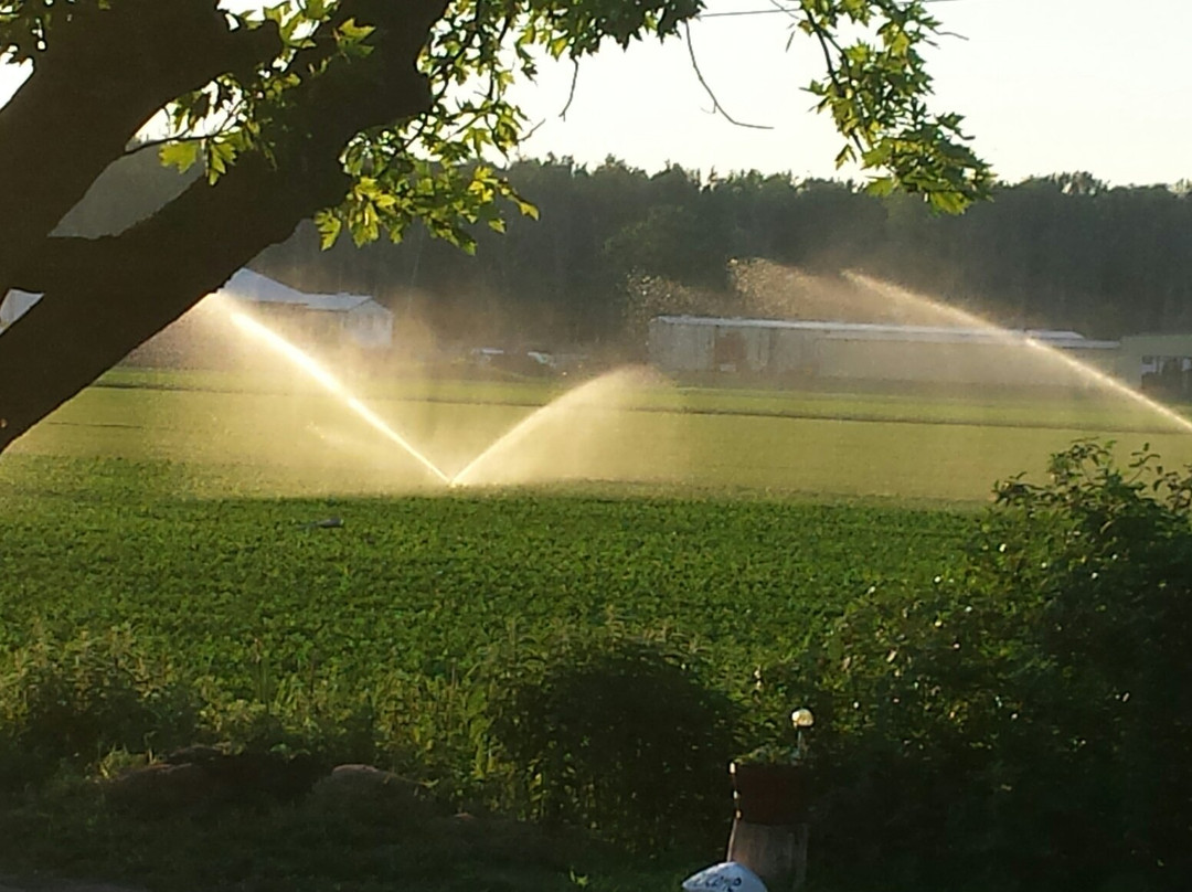 Holland Marsh-Bradford West Gwillimbury必去景点