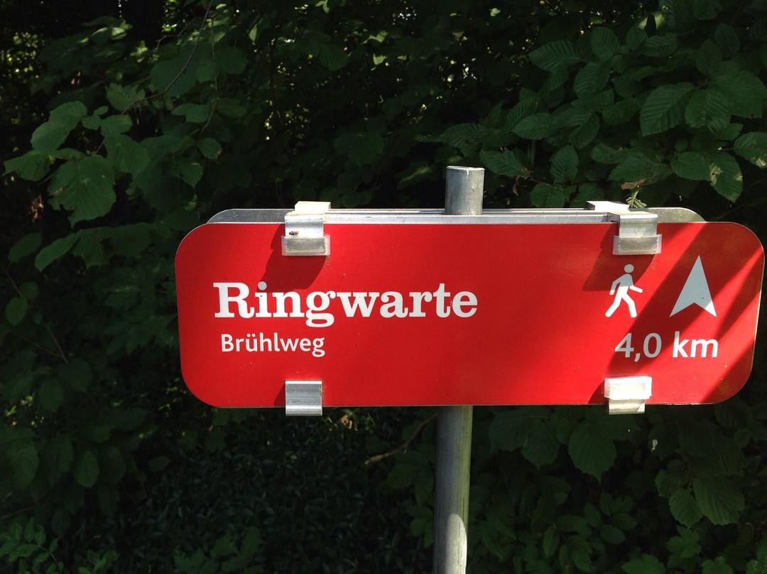 Ringwarte-哈特山必去景点
