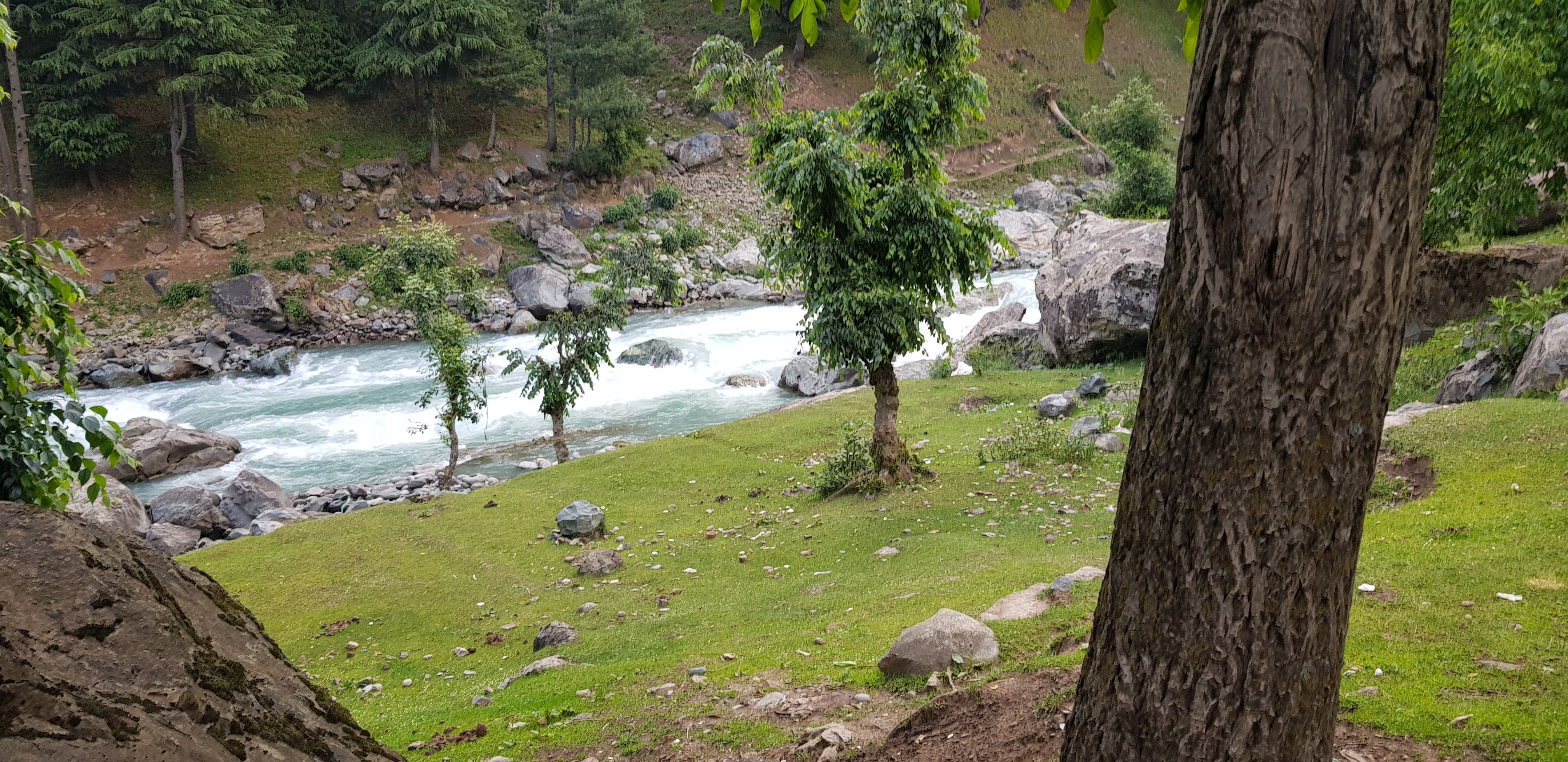 Kolahoi Green Resorts Pahalgam-酒店景观