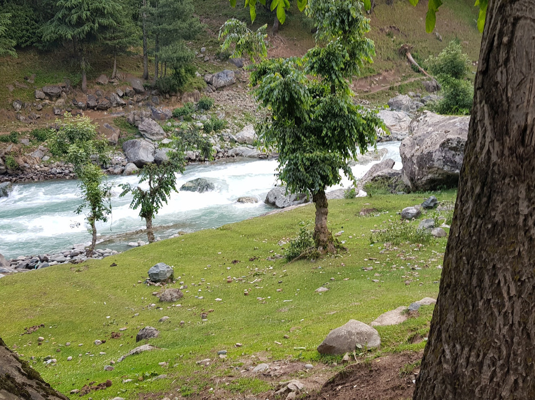 Kolahoi Green Resorts Pahalgam主图