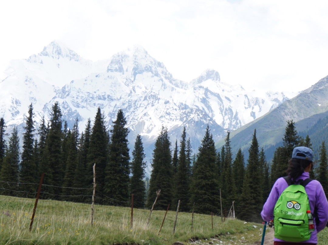 夏塔大峡谷-昭苏县必去景点