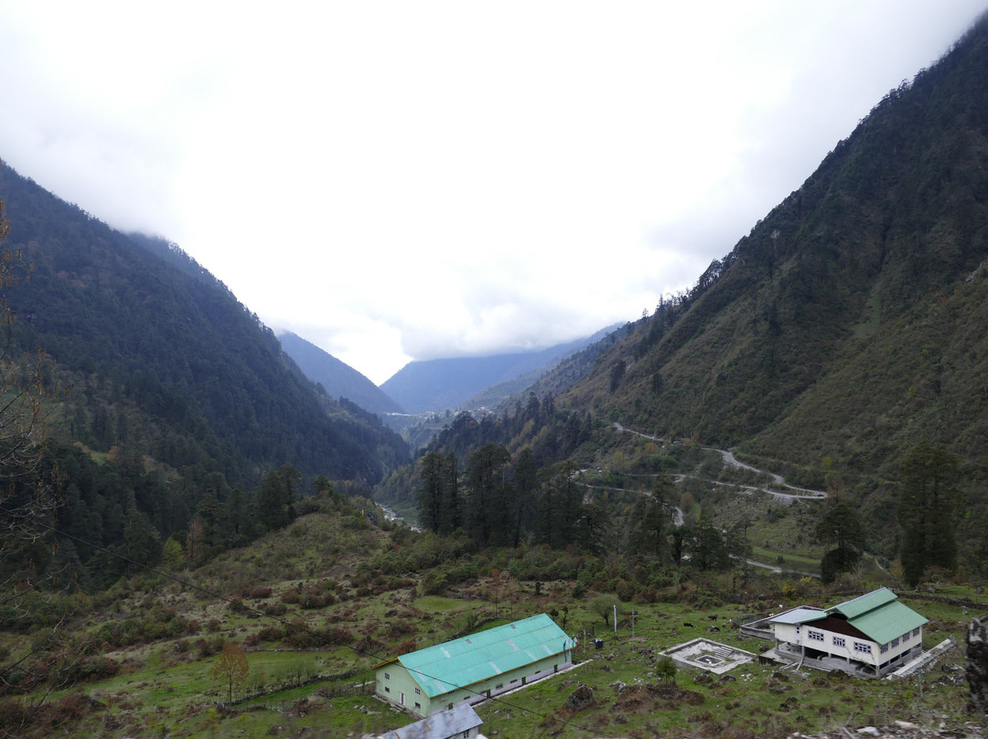 Dentam旅游攻略图片