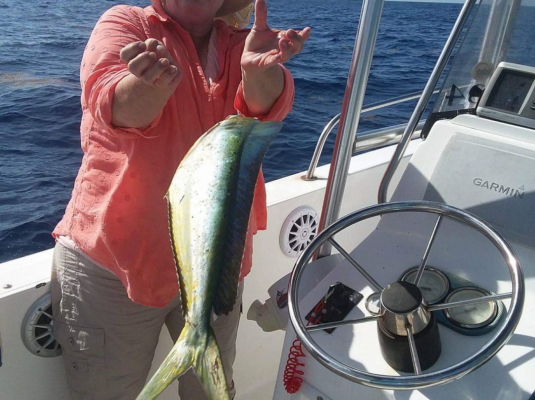 On The Reef Charters-伊斯拉摩拉达必去景点