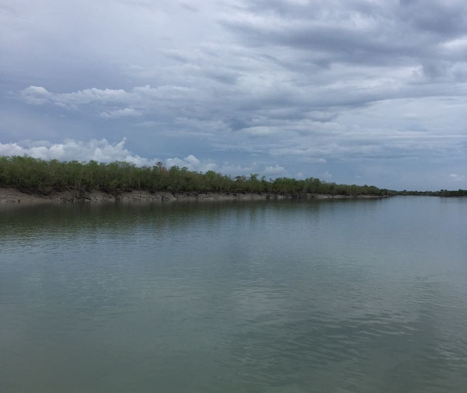 Sundarban Jungle Life景点图片