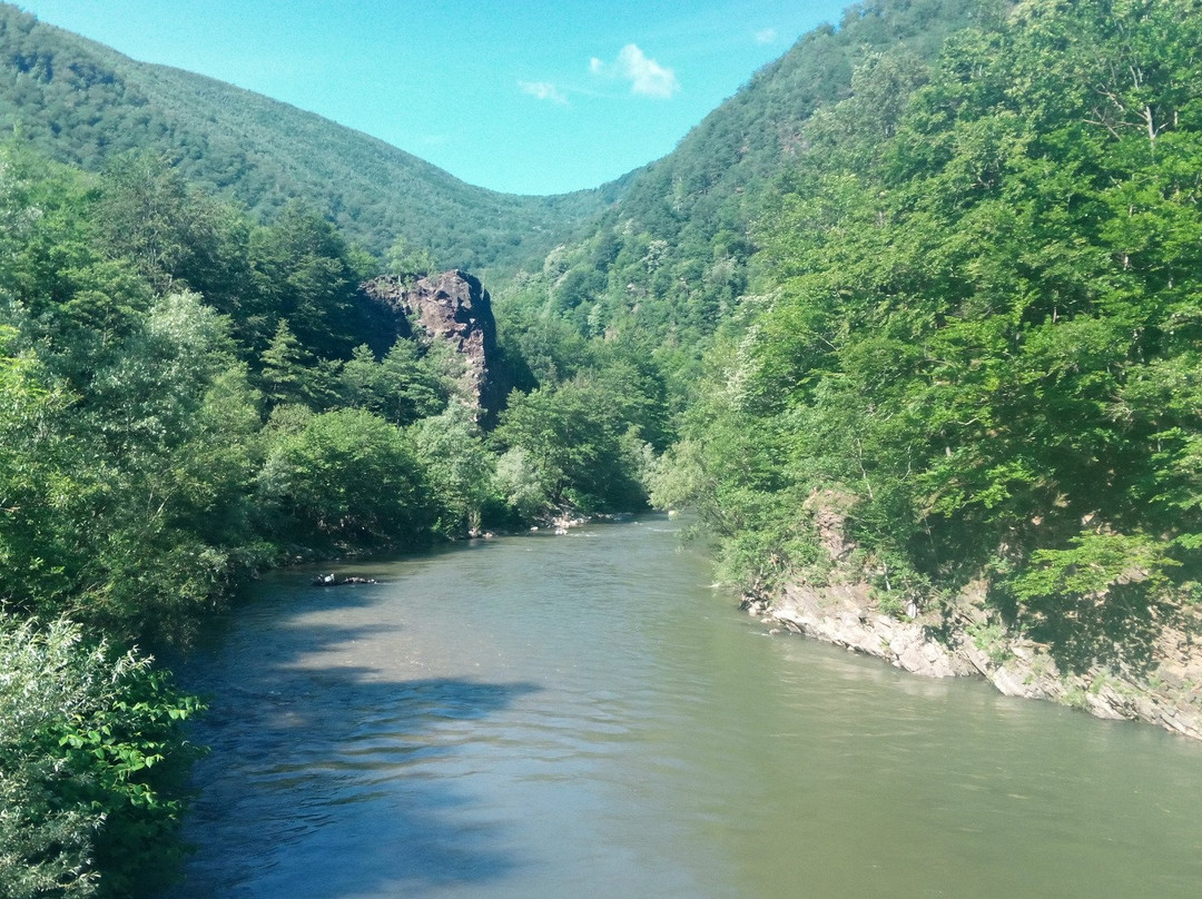 Parcul National Defileul Jiului景点图片