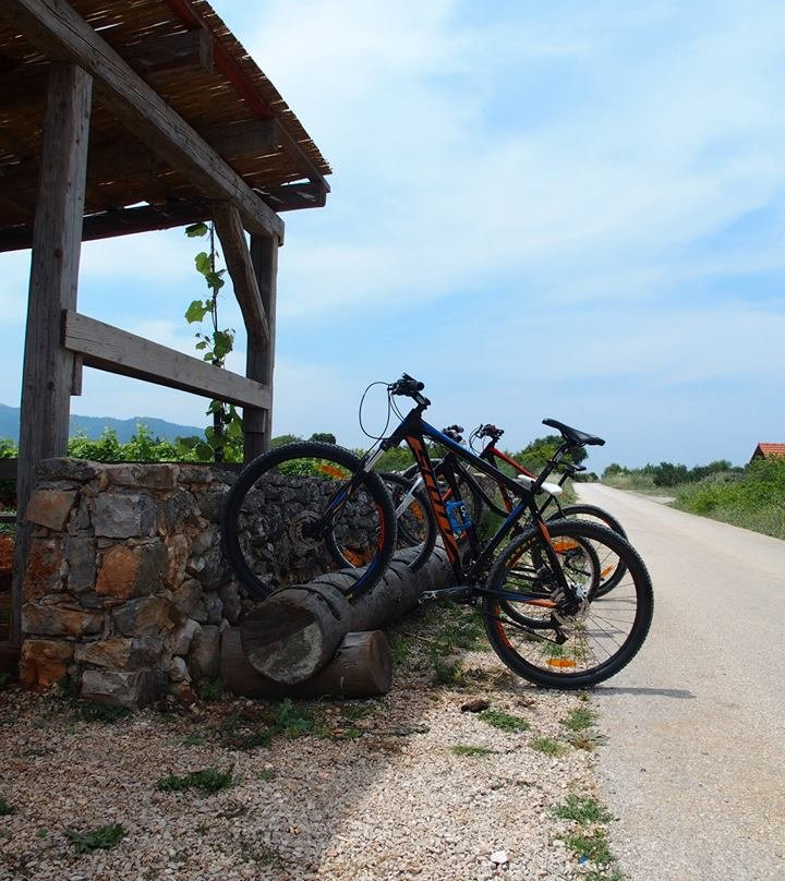 Natural Hvar Tours景点图片