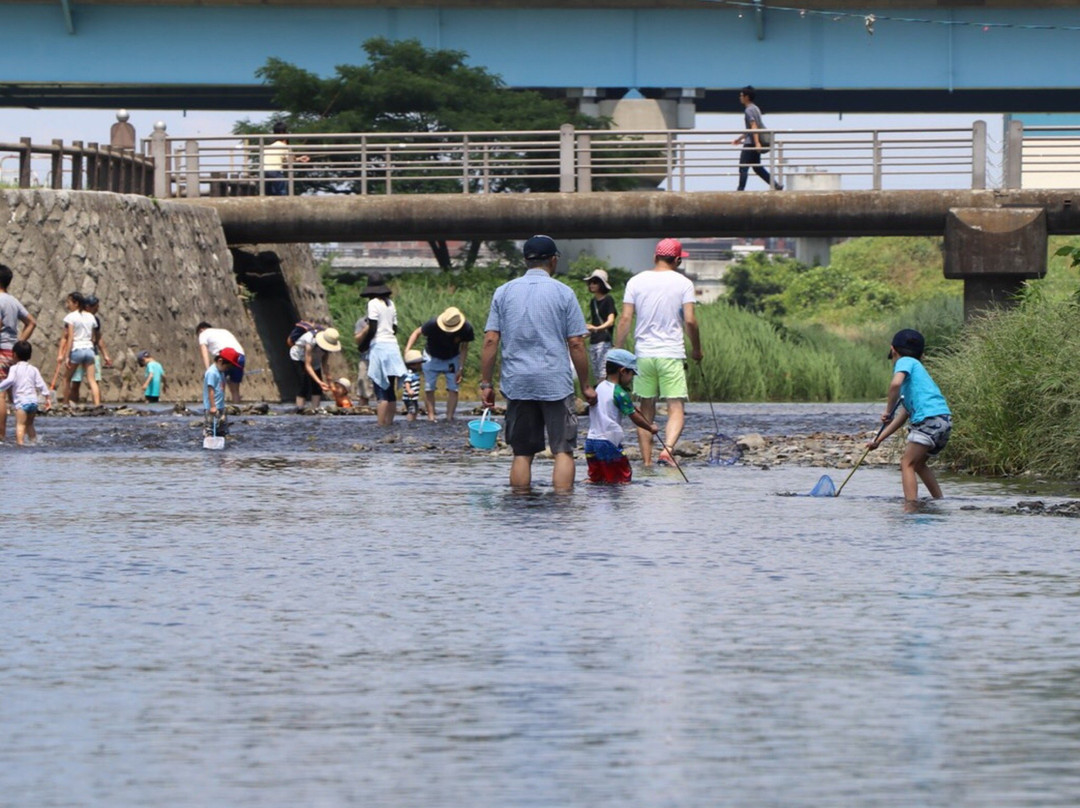 Hyogojima Park景点图片