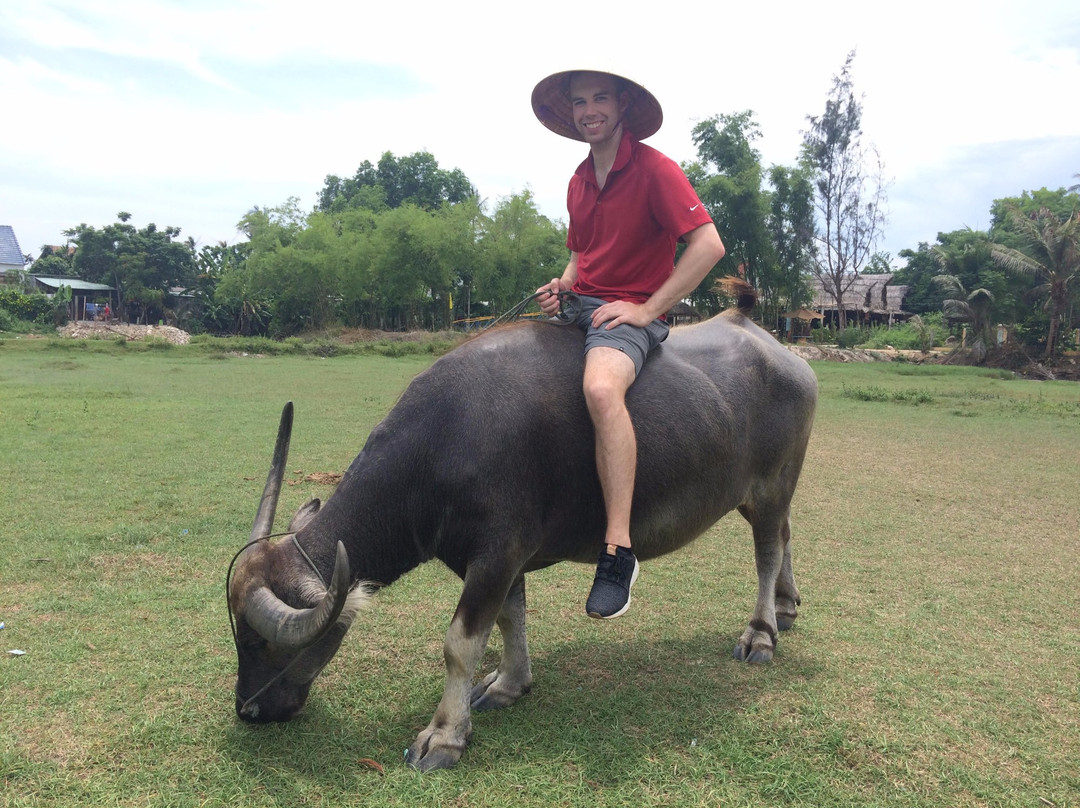 Uncle Sam Tours-会安必去景点